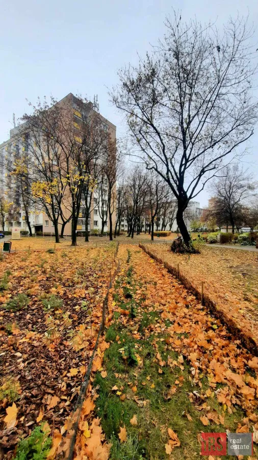 Kawalerka z balkonem, piwnicą i widną kuchnią 