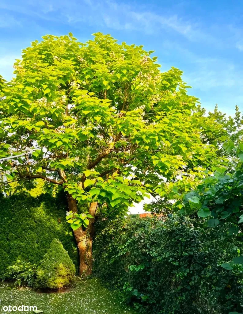 Klimatyczne mieszkanie w sercu zielonego Wawra