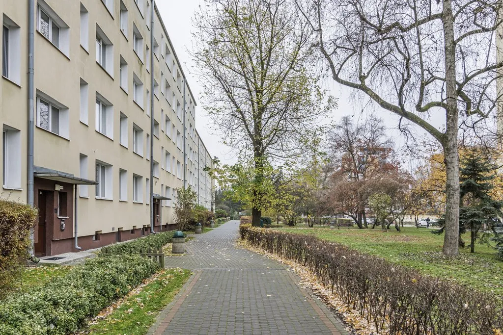 Kawalerka, ul. Starego Doktora