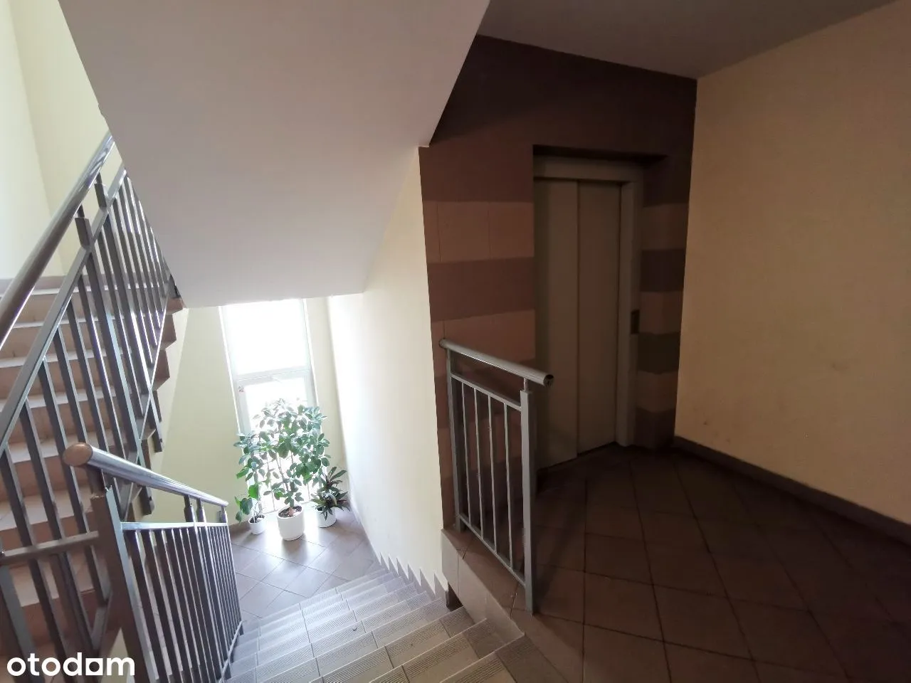 2/3 pokoje 52 m2 kompaktowe dwustronne balkon