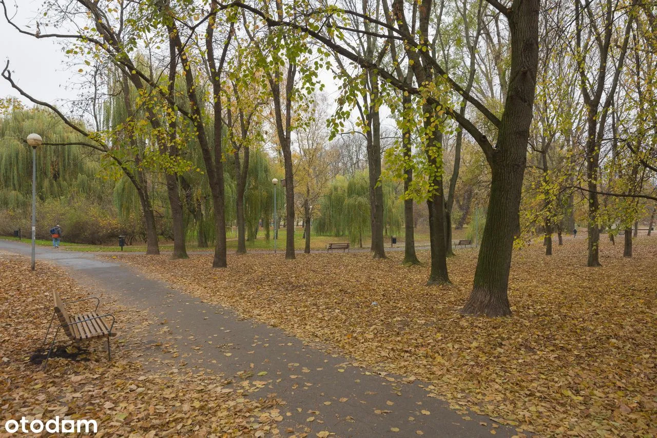 Przestronna kawalerka z oddzielną kuchnią