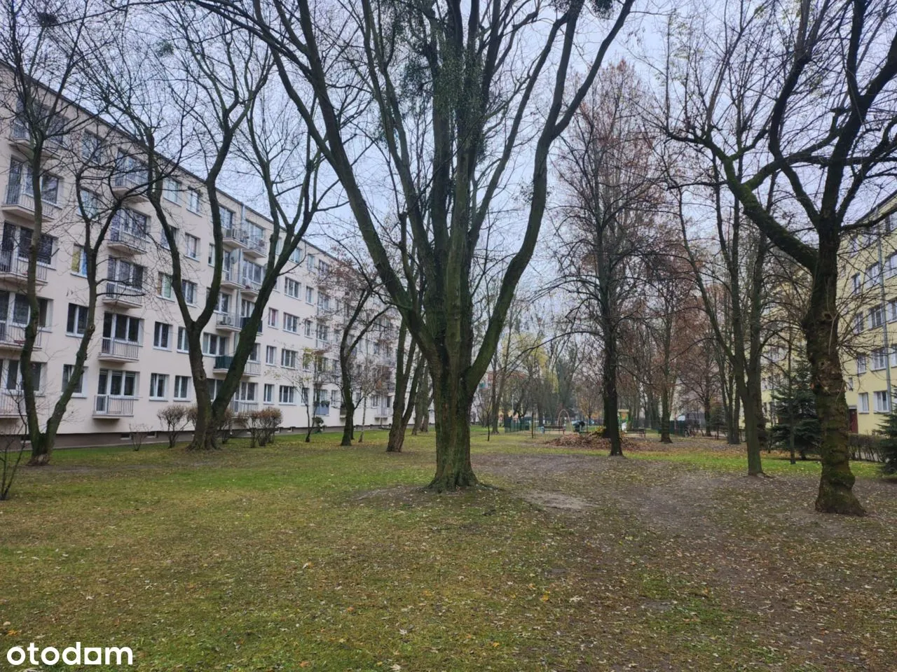 3 pokoje widna kuchnia /wspaniała lokalizacja