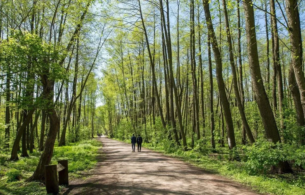 2pok. + taras na Os. Park Leśny. Przy lesie i M2 