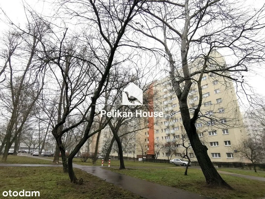 Dwa pokoje oddzielna kuchnia balkon piwnica 