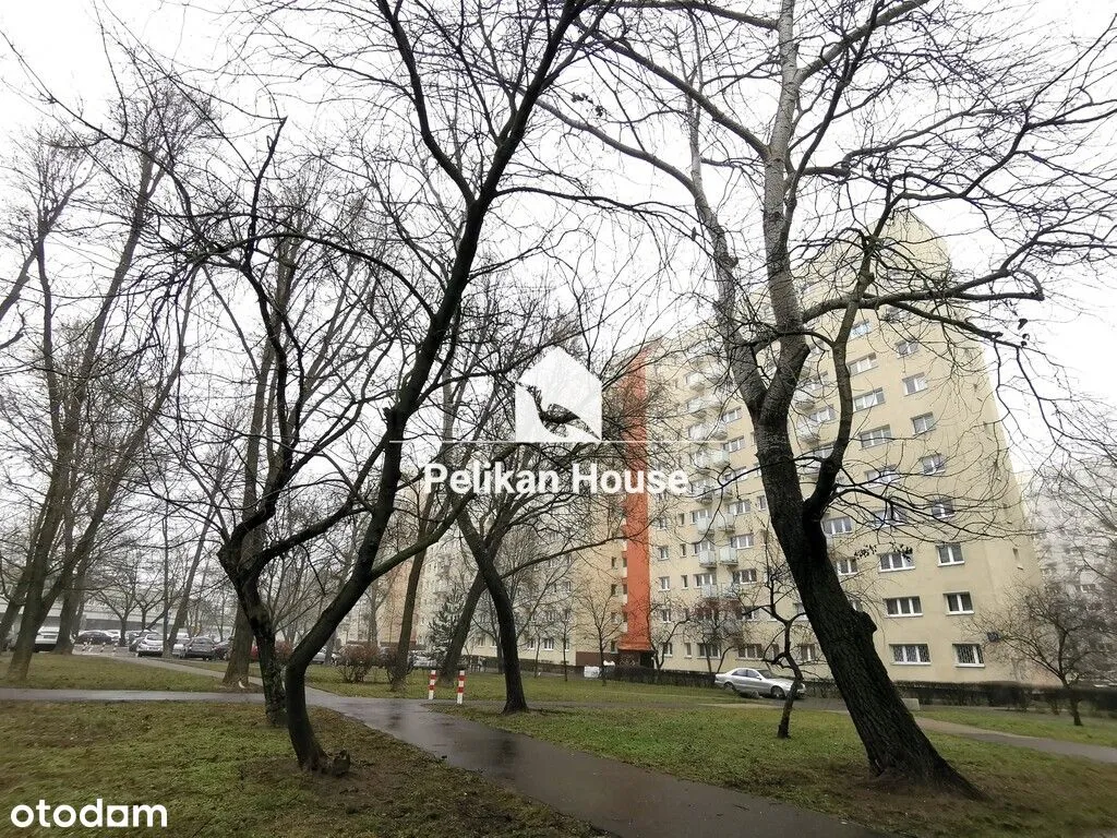 Dwa pokoje oddzielna kuchnia balkon piwnica 