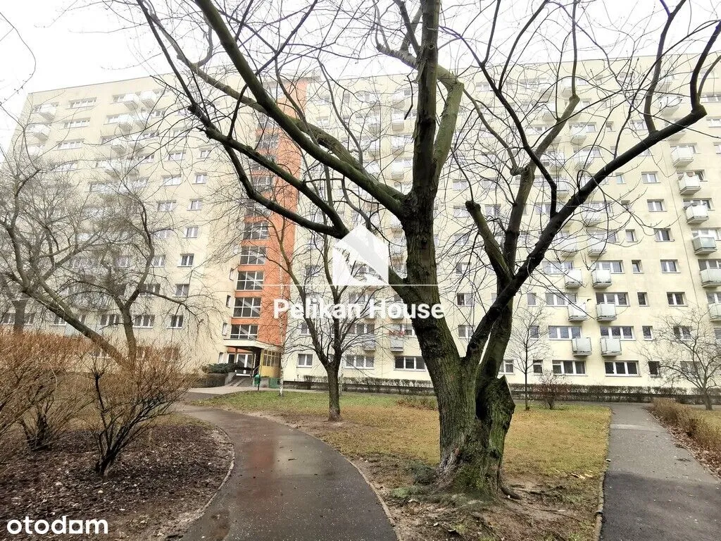 Dwa pokoje oddzielna kuchnia balkon piwnica 