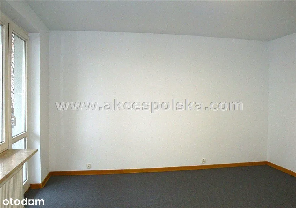 Lokal na Biuro Pl. Zawiszy