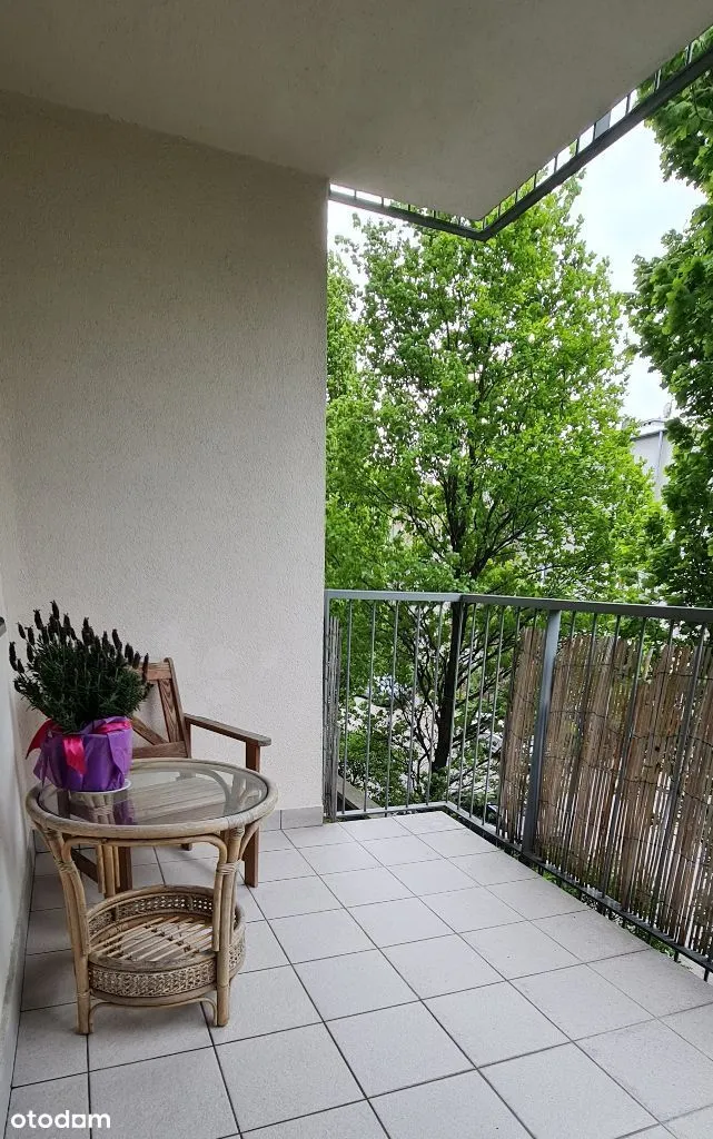 Nowoczesny apartament przy Pl. Wilsona, BEZPOŚR.