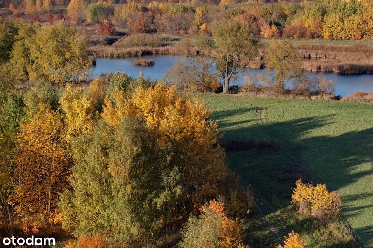 Segment 127m z 2016, URSYNÓW, BEZPOŚREDNIO