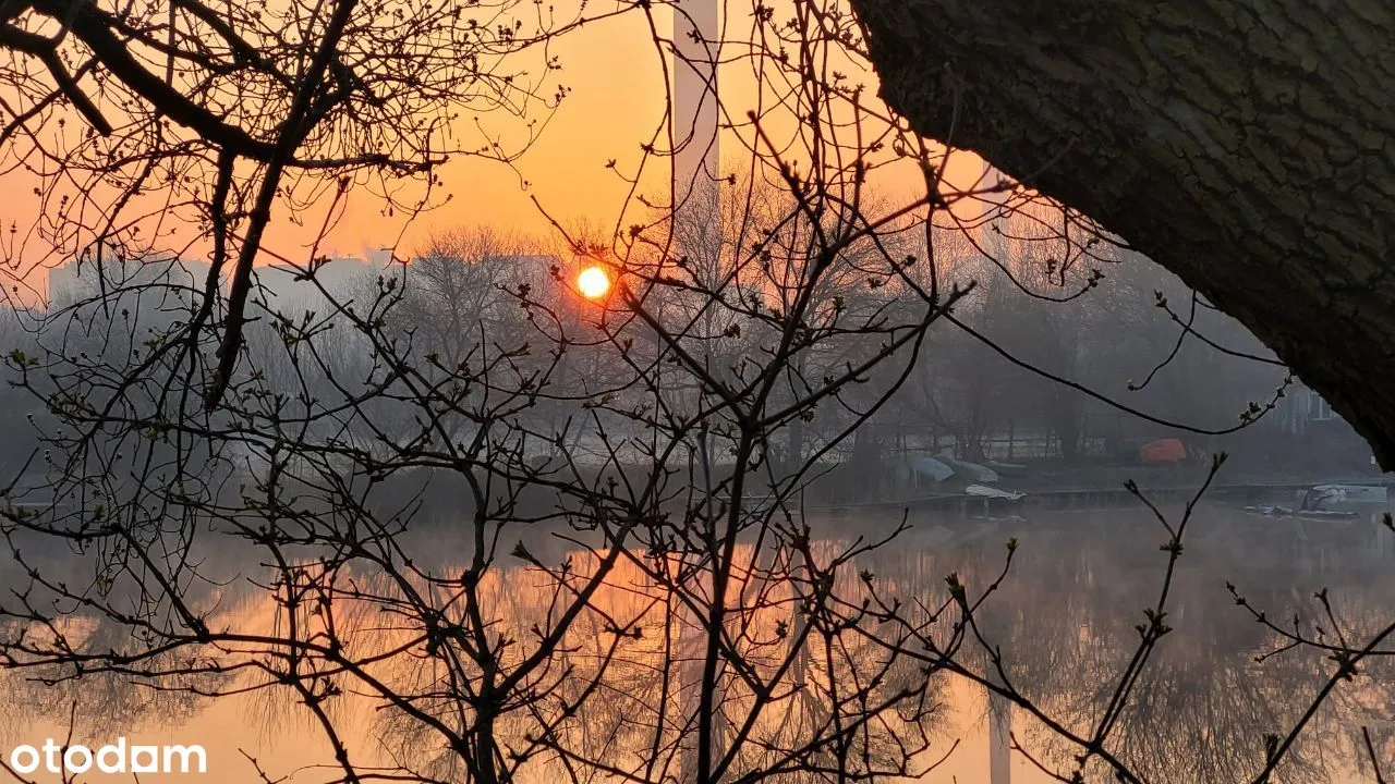 Mokotów Nowe Garaż Piwnica Jeziorko zielona Sadyba