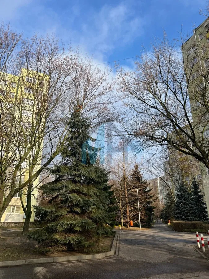 Bielany! 3 pokoje z dużym balkonem i piwnicą 