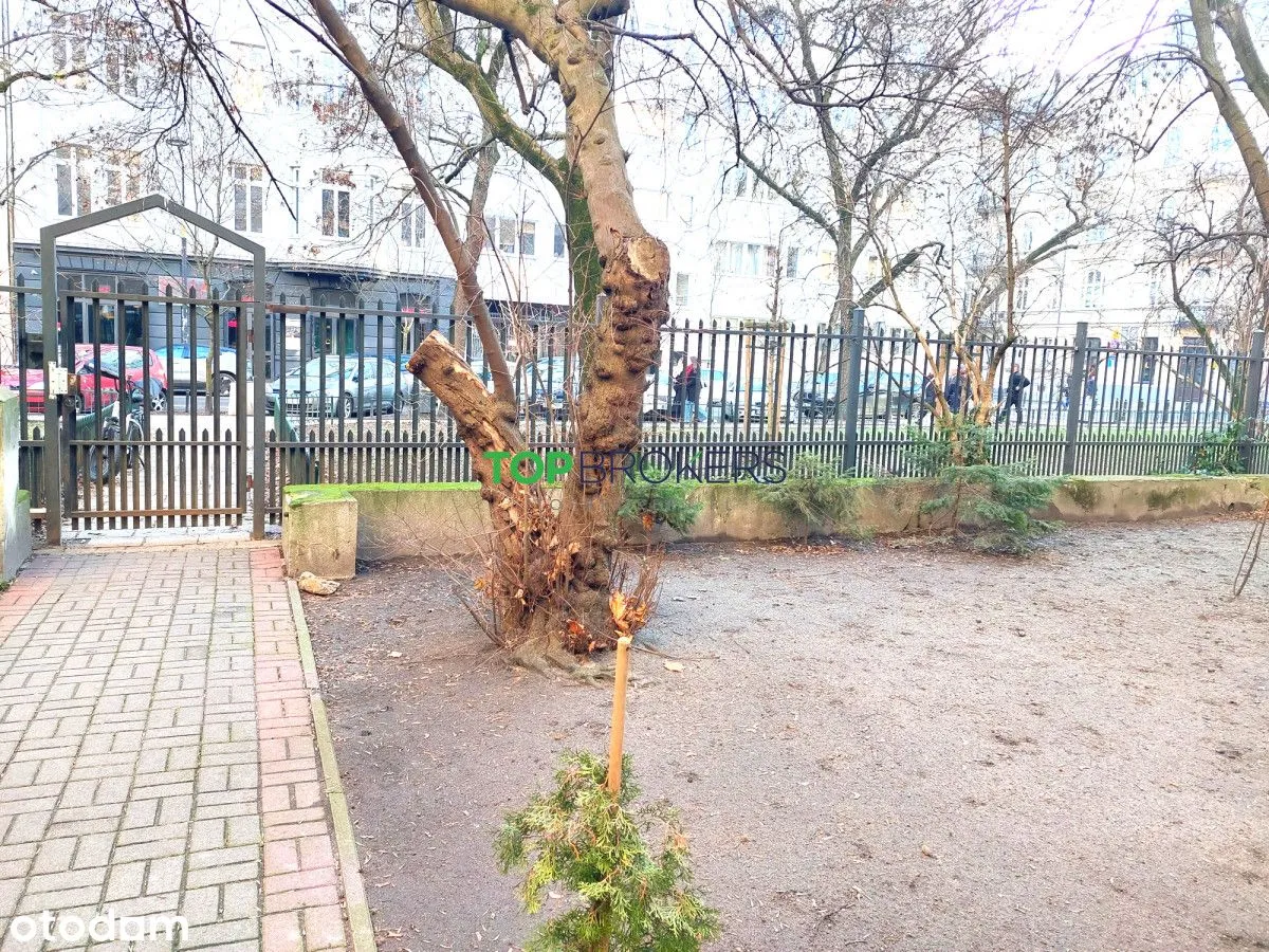 Kawalerka, ul. Hoża