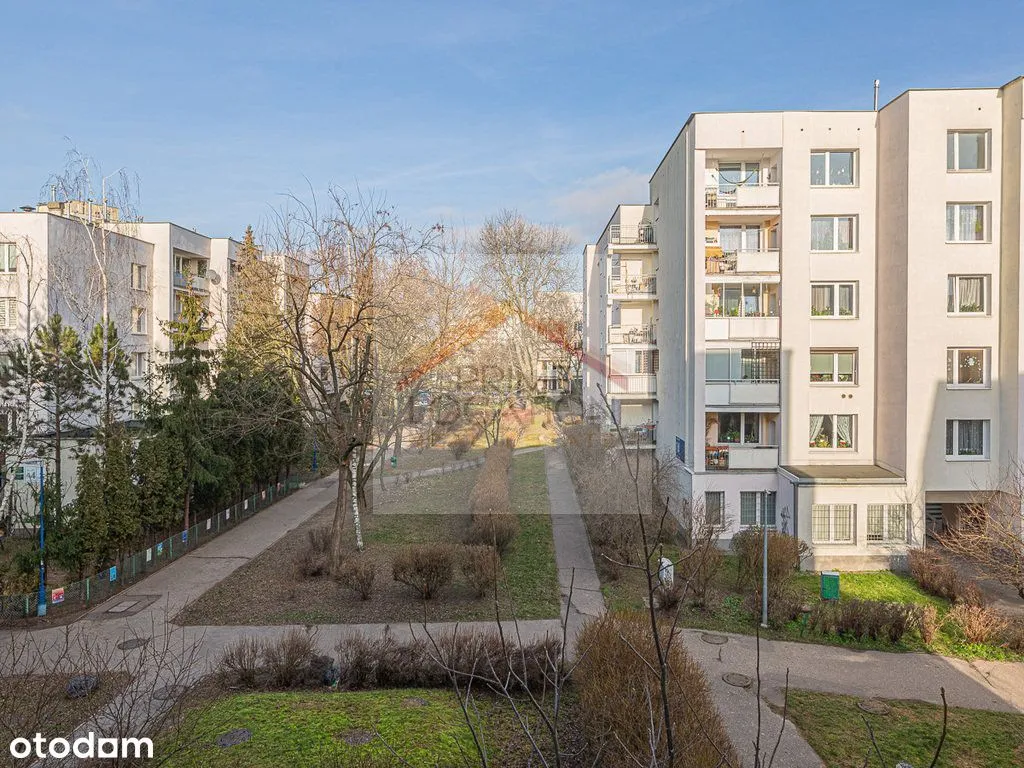 2 pokoje + kuchnia oddzielnie / loggia / jasne 