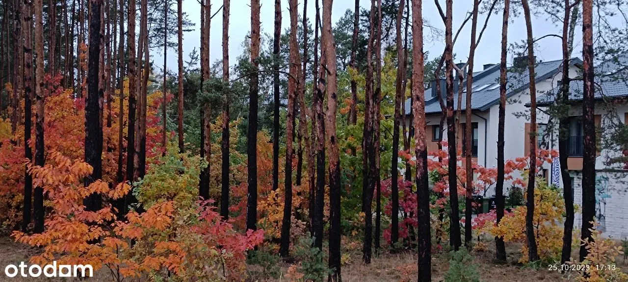 Segment, 4 pokoje, 2 miejsca postojowe, ogródek