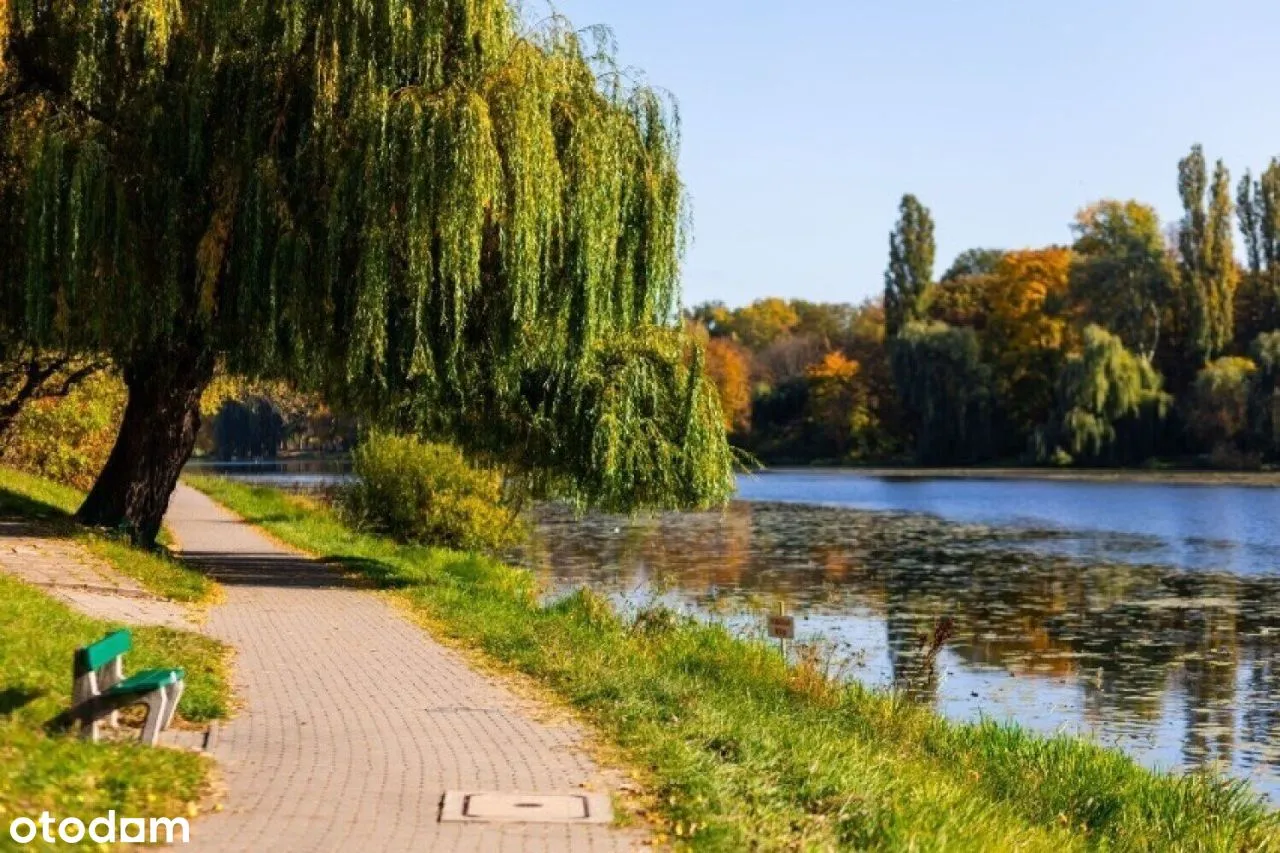 Do wynajęcia przestronne 1-pokojowe mieszkanie