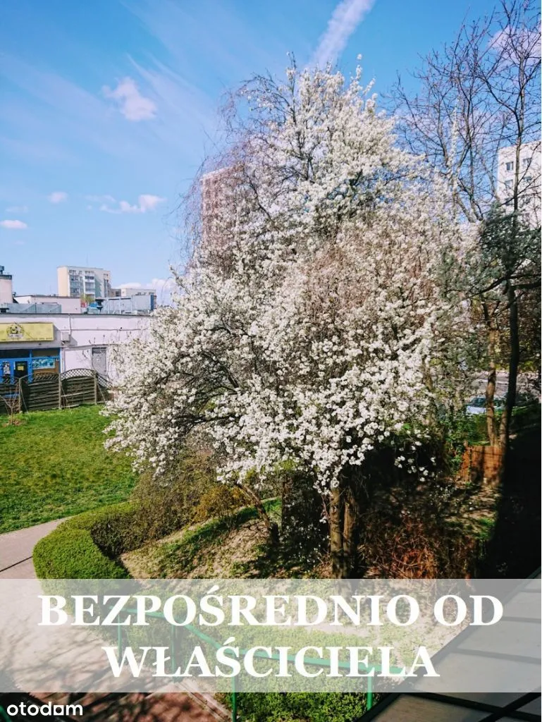 Metro Ursynów, BEZPOŚREDNIO, 3-Pokojowe, 65,5 m2