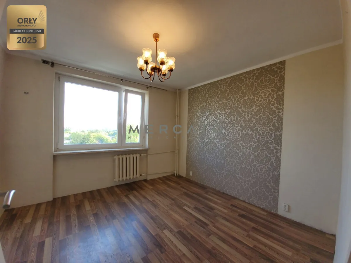46 m² 