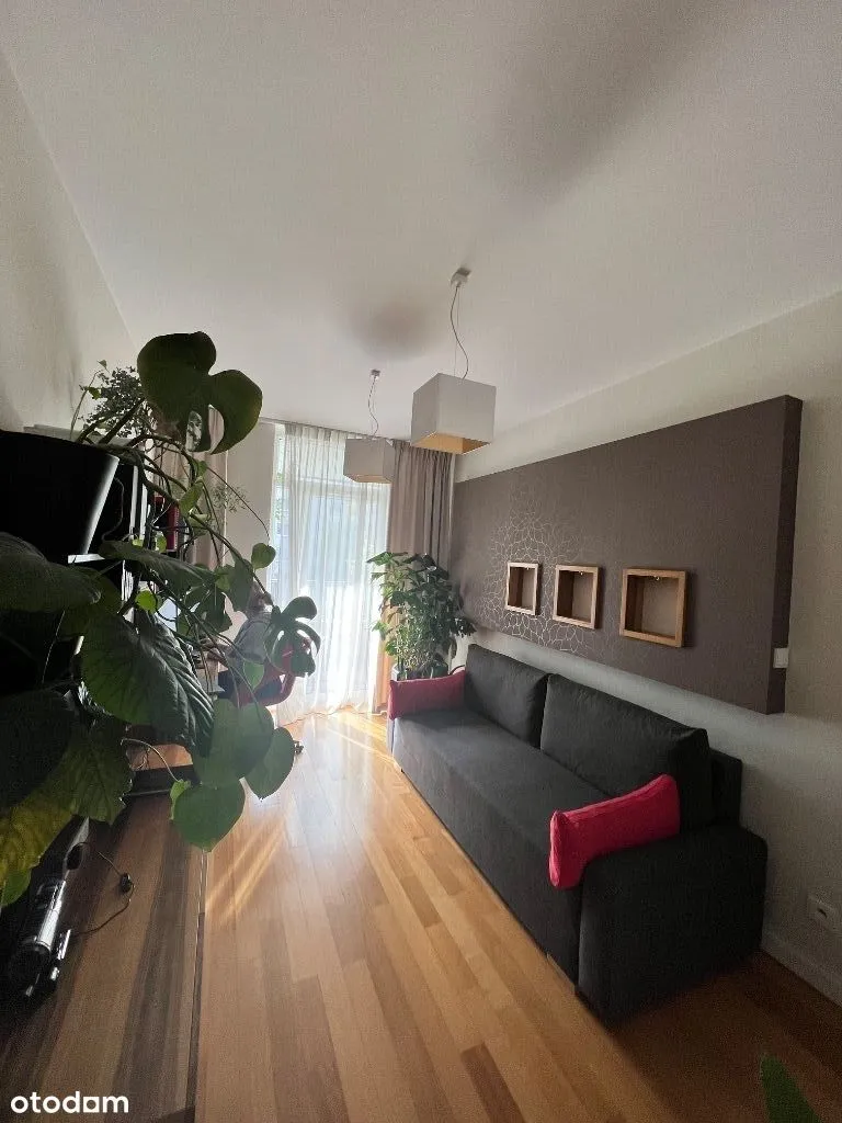 Bezpośrednio 2 pokojowe (52 m2) plus loggia 20 m2