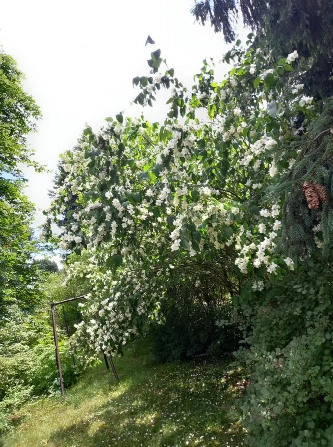 Sprzedam Bezp. mieszkanie 128m2 Wawer-Bezczynszowe 