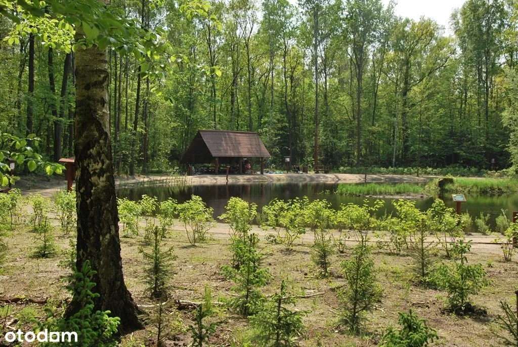 Wynajmę mieszkanie - 3pokoje, osobna kuchnia - 43m