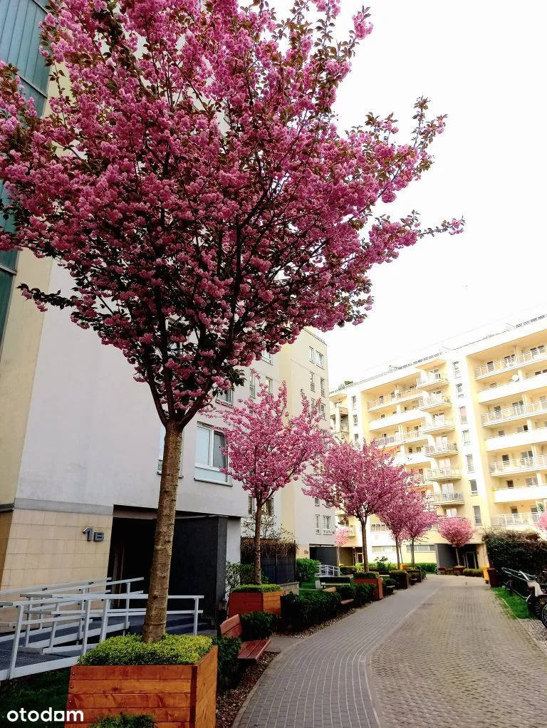 3 pok, 73m2, duża loggia,blisko Park Szczęśliwicki