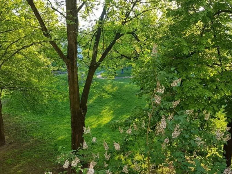 Żoliborz ul. Elbląska - 3 pokoje DO WEJŚCIA super 