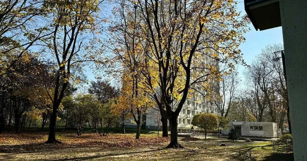 ✨Widok na Park Królikarnia ✨ Metro Wierzbno ✨ 