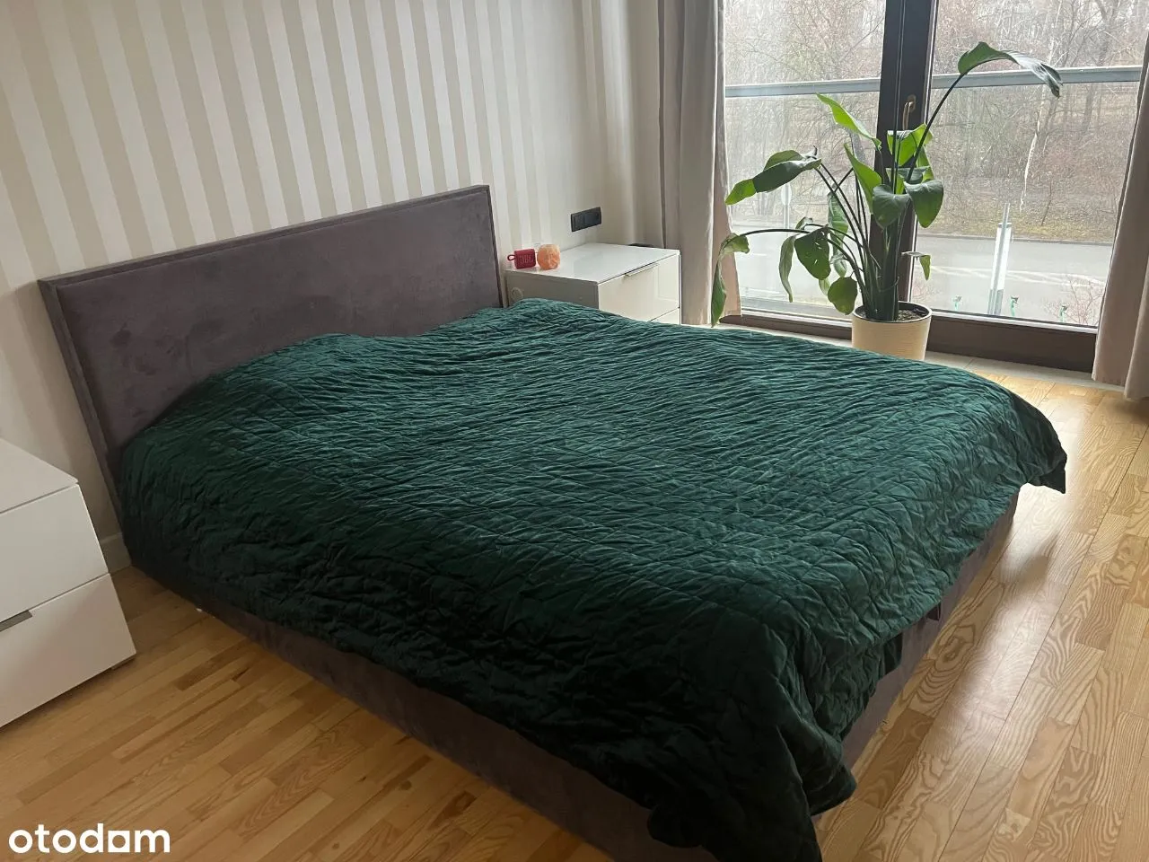 Apartament do wynajęcia za 6700 zł w Muranów, Śródmieście, Warszawa