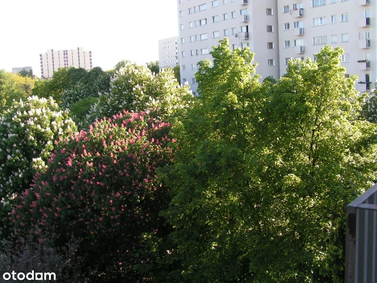 Żoliborz Sady Żoliborskie 3 pokoje 48 m