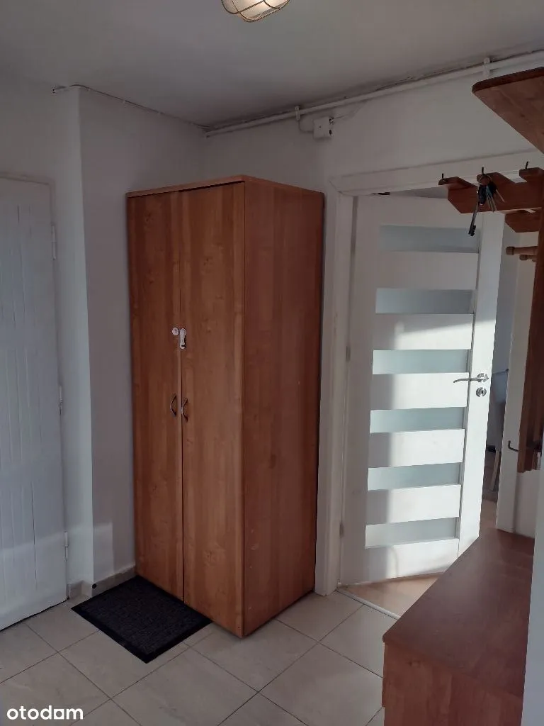 Słoneczne mieszkanie na wynajem 40 m2