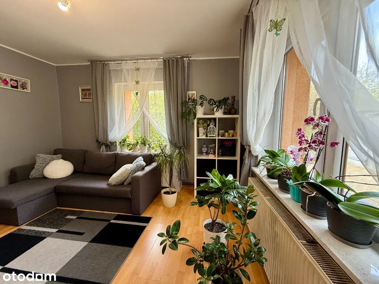 Niewielki domek na wygodnej działce, Targówek
