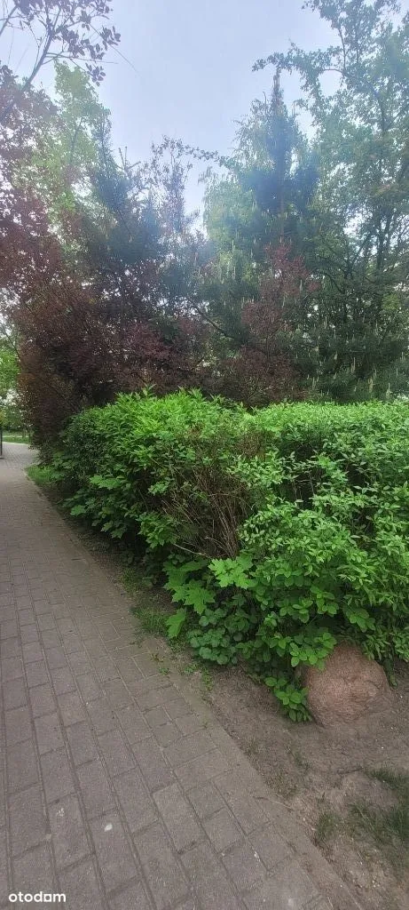 REZERWACJASłoneczne dwa pokoje na Sadach Żoliborsk