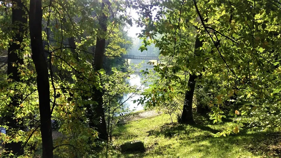 49m 2 pokoje, garaż, ochrona przy Forcie Bema 