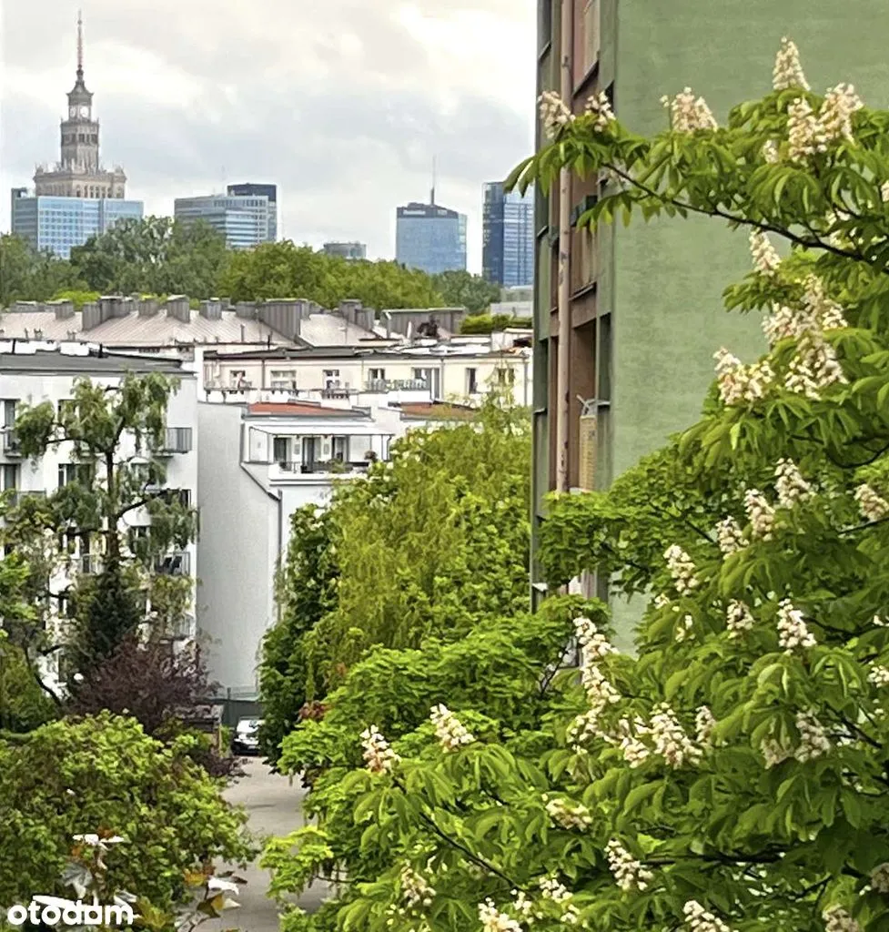BEZ PROWIZJI 38m2 POWIŚLE nowoczesn ciche 2pok  do rozważenia pies/kot
