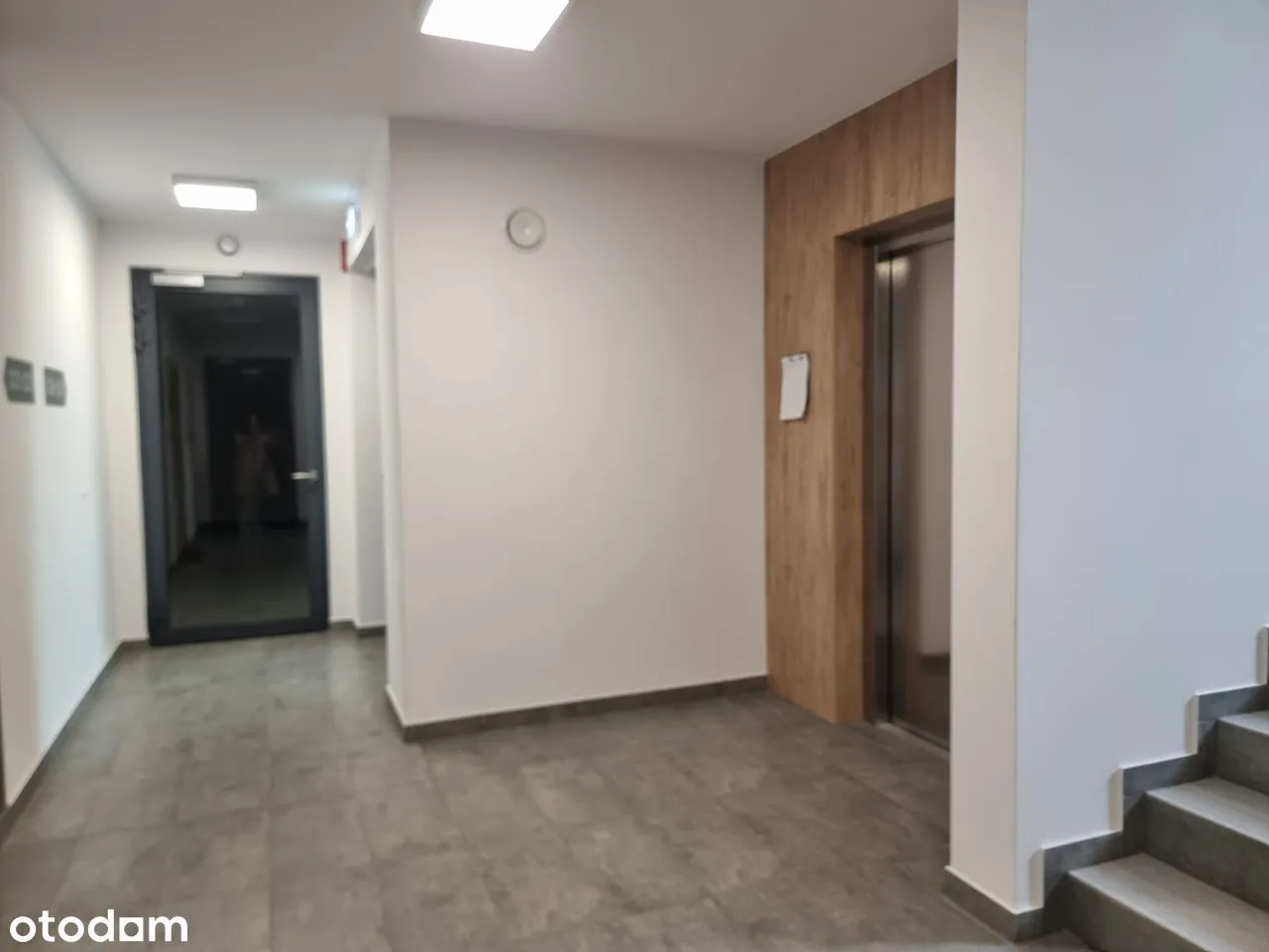 dom - mieszkanie do wynajęcia 140m2