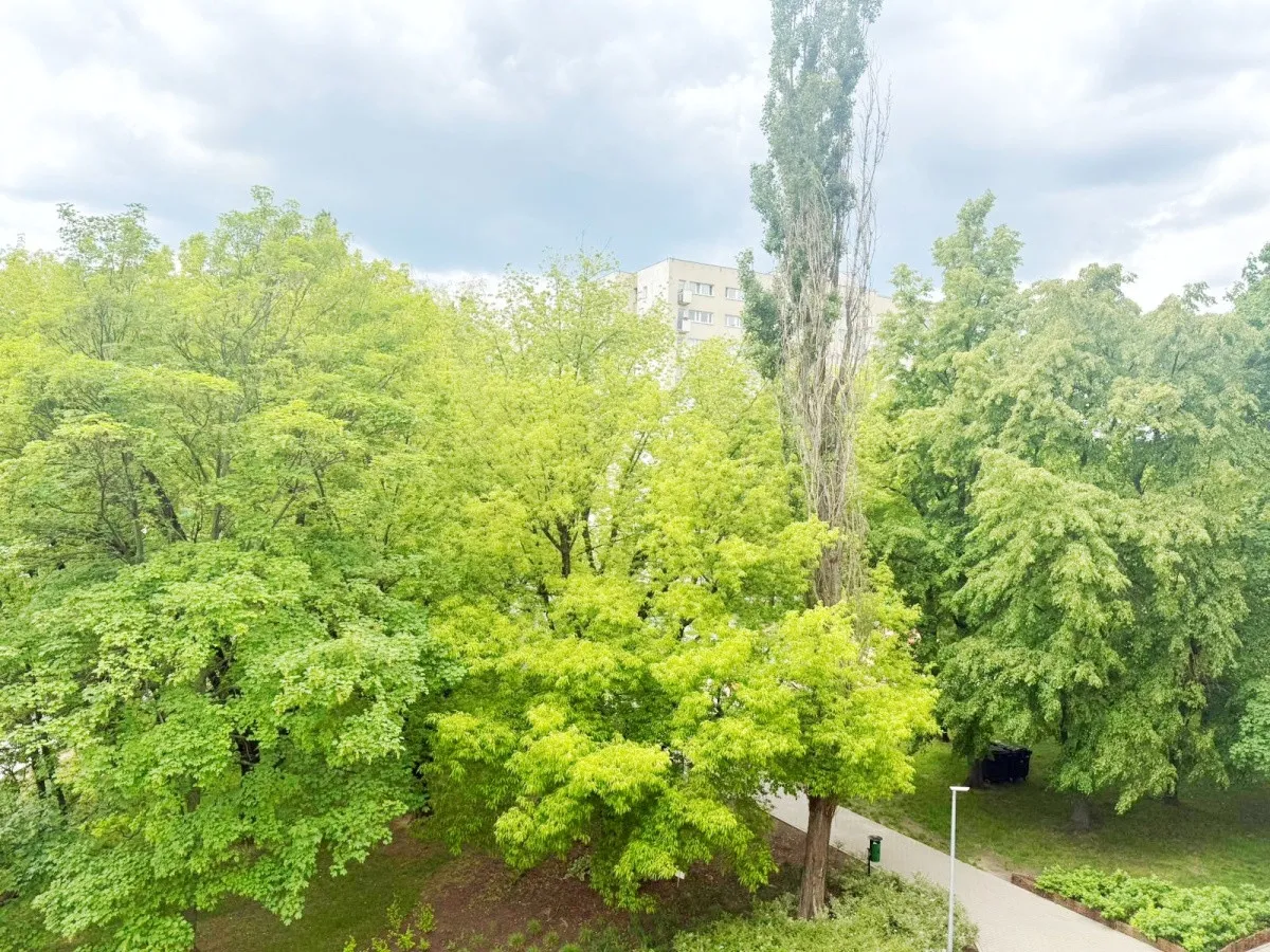 Stare Bielany: 3 pokoje do własnej aranżacji 