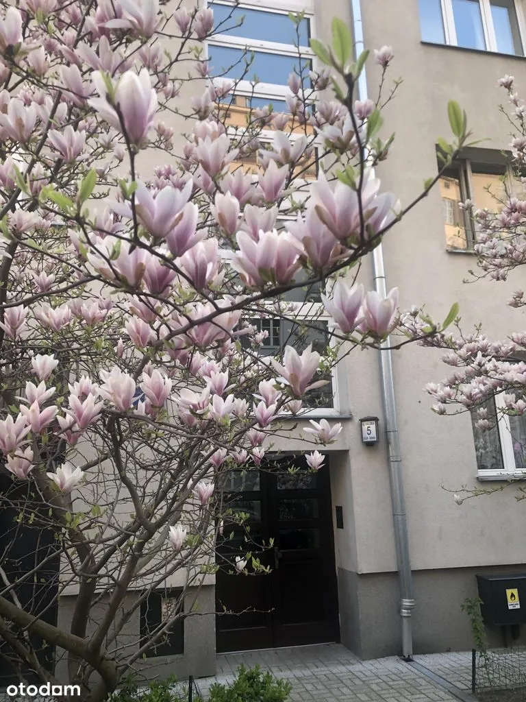 NO AGENT FEE # BEZ PROWIZJI # balkon !