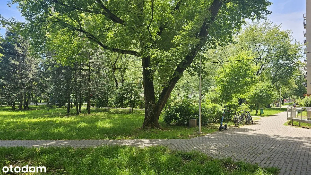 2 pokoje w dobrej lokalizacji i atrakcyjnej cenie