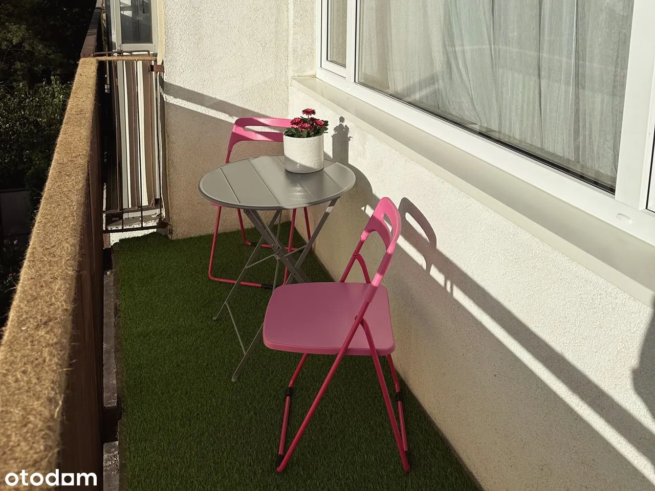 2 pokoje, Bielany, od zaraz
