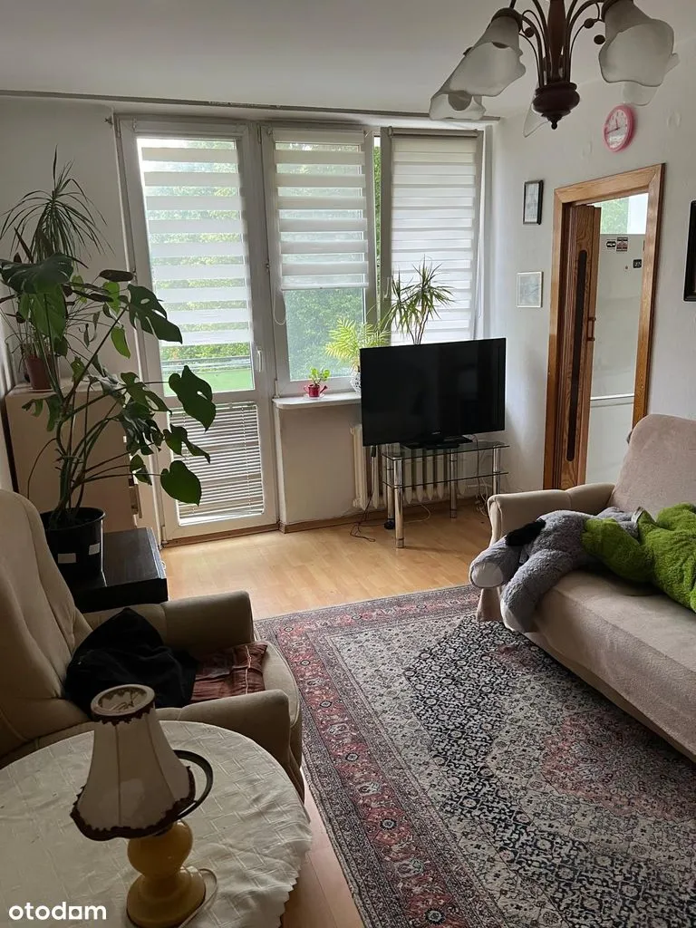 3 Pokoje do zamieszkania, 48m2, blisko lasu, dobra komunikacja.