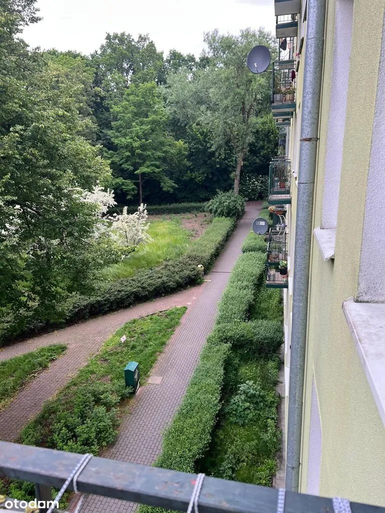 3 Pokoje do zamieszkania, 48m2, blisko lasu, dobra komunikacja.