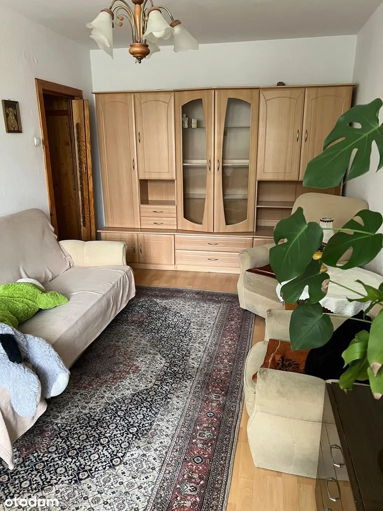 3 Pokoje do zamieszkania, 48m2, blisko lasu, dobra komunikacja.