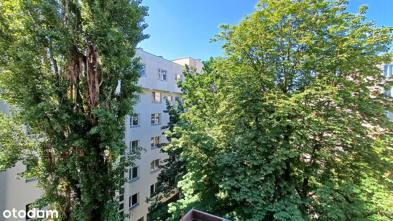 ścisłe centrum, taras, widok na wieżowce