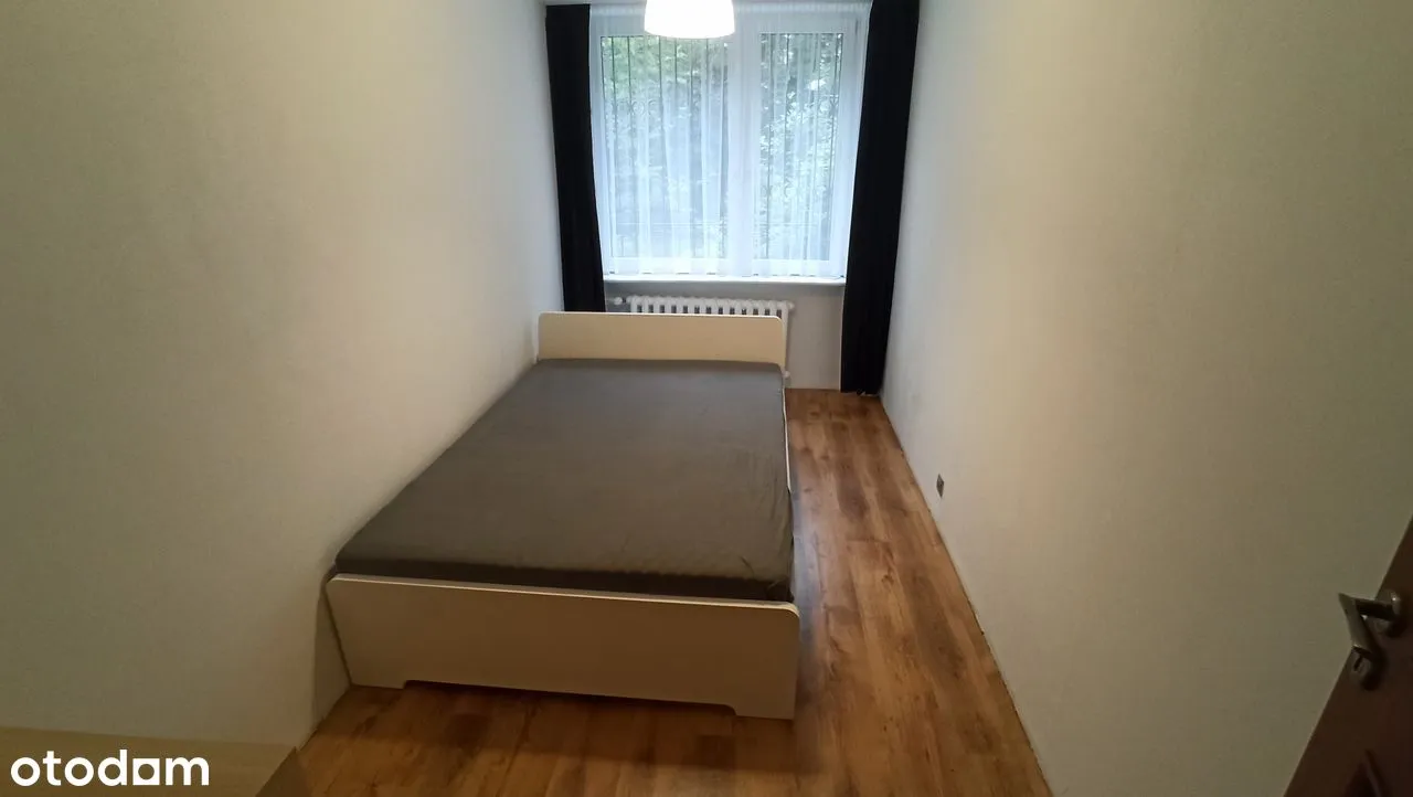 Dwupokojowe mieszkanie, Śródmieście, Dragonów