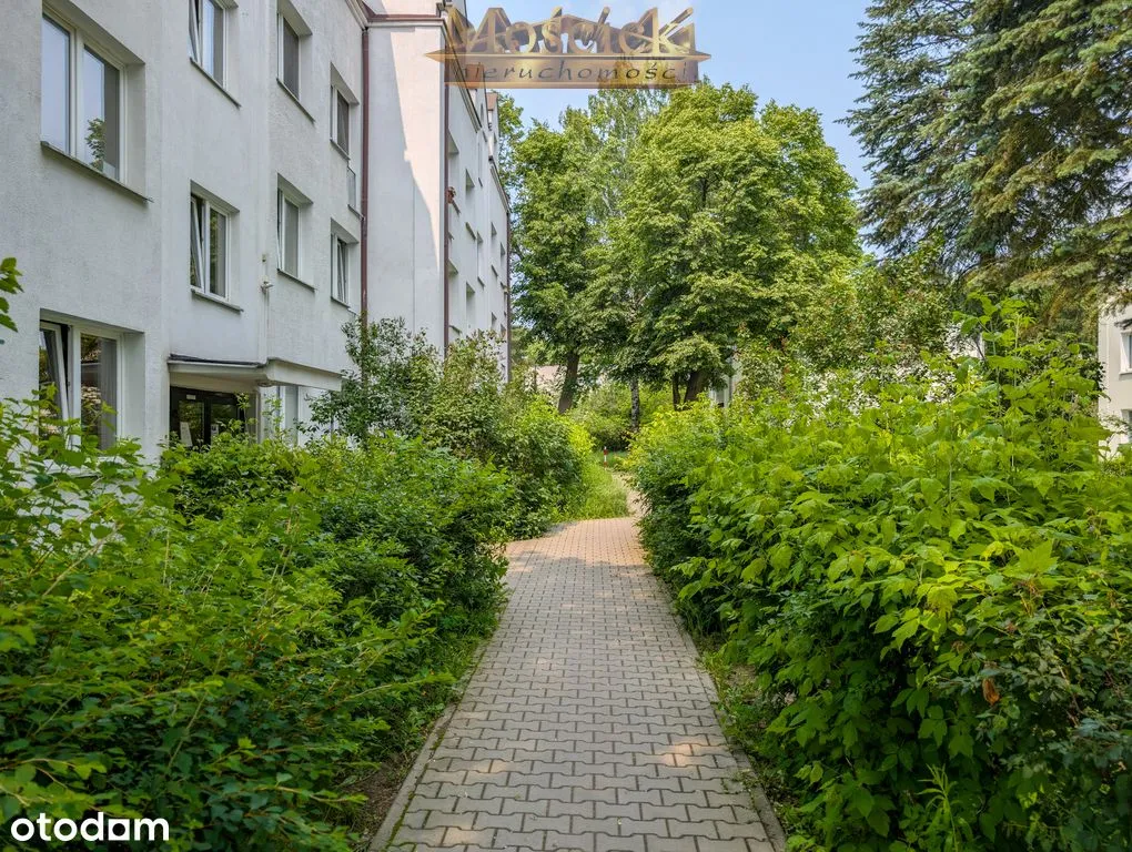 Mieszkanie, ul. Pazińskiego