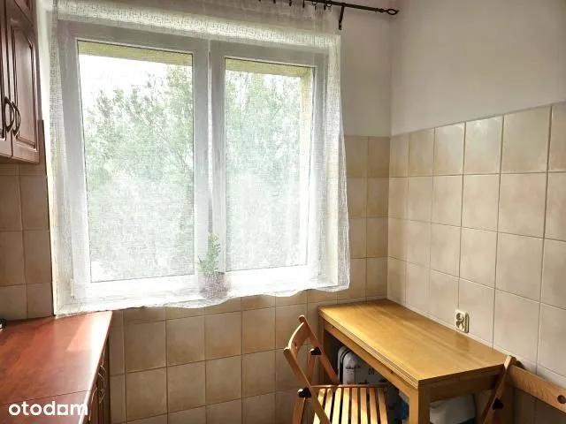 Słoneczne, zieleń wokół