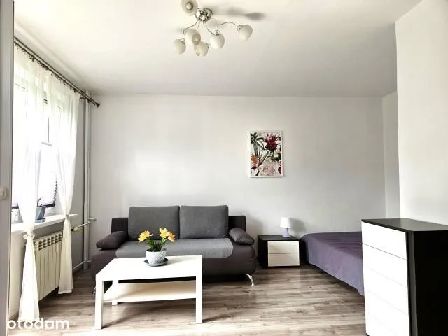 Słoneczne, zieleń wokół