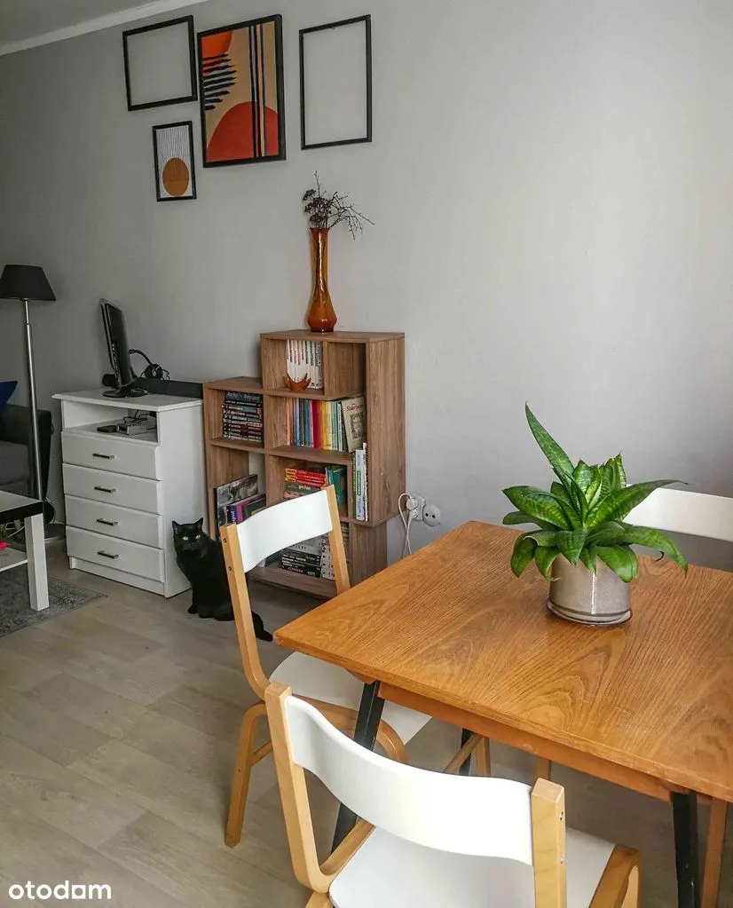 Mieszkanie Saska Kępa, 39m2, 2 pokoje, widne, rozkładowe