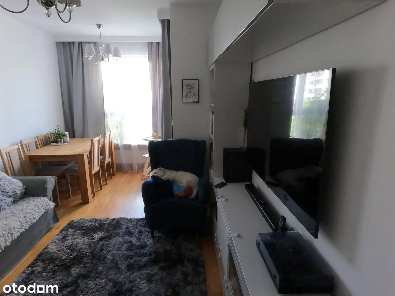 Wynajmę mieszkanie  55 m² (+msc. postojowe i kom. lok.)– ul. Hubnera 1
