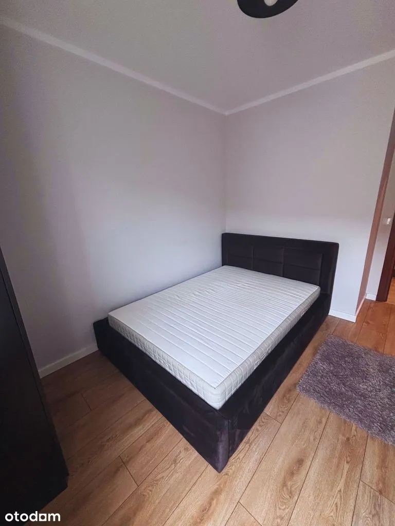 3 pokojowe mieszkanie do wynajęcia